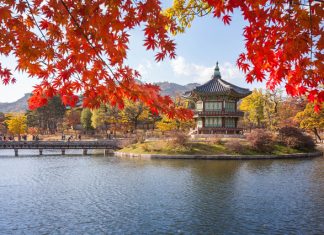 Du lịch Hàn Quốc mùa thu 