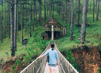 Vi vu Đà Lạt thành phố hoa xinh đẹp đắm say lòng người