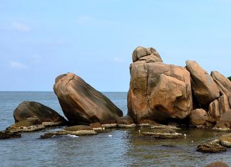 Điểm đến hấp dẫn trong tour du lịch Cà Mau ?