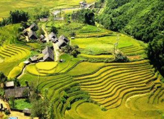 Đến Sapa nhất định du khách phải ghé qua Bản Tả Van