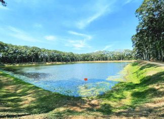 Tham quan ao Bà Om – thắng cảnh nổi tiếng trong tour du lịch Trà Vinh Tham quan ao Bà Om - thắng cảnh nổi tiếng trong tour du lịch Trà Vinh